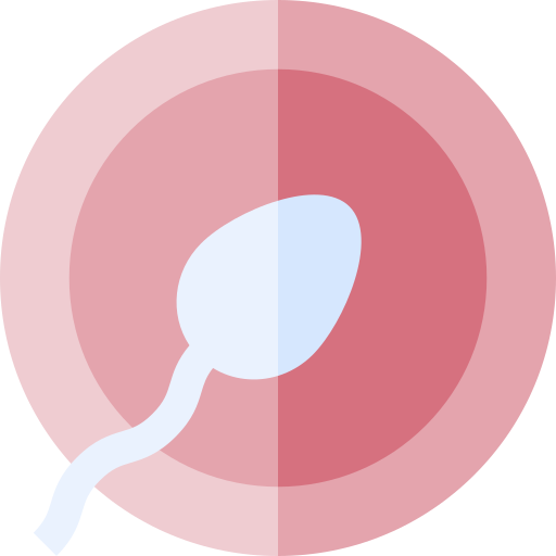 Especialistas Médicos en Gineco Obstetricia